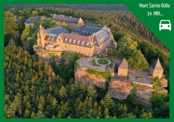 Апартаменты Grenier Des Cigognes Селеста Экстерьер фото